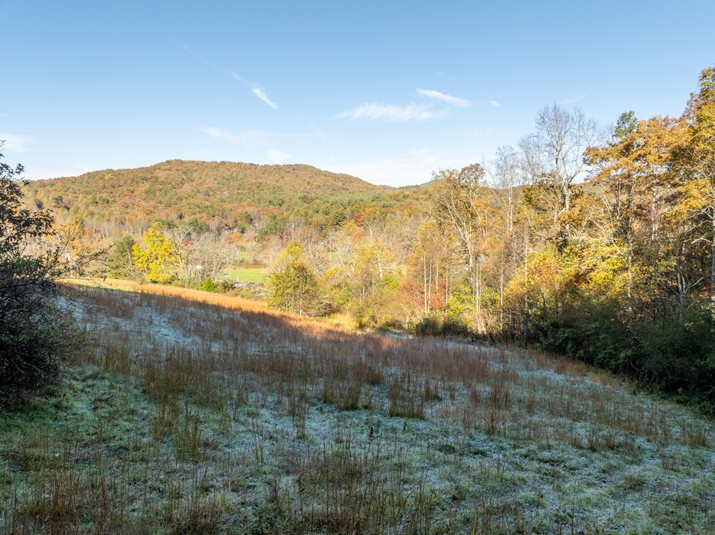 336 Old Skeenah Gap Rd, Suches, GA, 30572, USA, 2 Bedrooms Bedrooms, ,4 BathroomsBathrooms,Residential,Active,336 Old Skeenah Gap Rd,420480