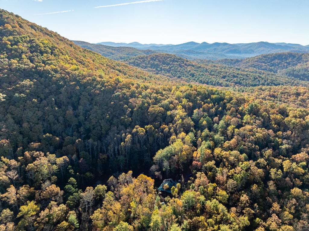 336 Old Skeenah Gap Rd, Suches, GA, 30572, USA, 2 Bedrooms Bedrooms, ,4 BathroomsBathrooms,Residential,Active,336 Old Skeenah Gap Rd,420480