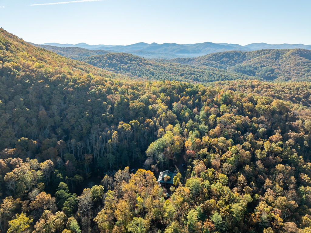 336 Old Skeenah Gap Rd, Suches, GA, 30572, USA, 2 Bedrooms Bedrooms, ,4 BathroomsBathrooms,Residential,Active,336 Old Skeenah Gap Rd,420480