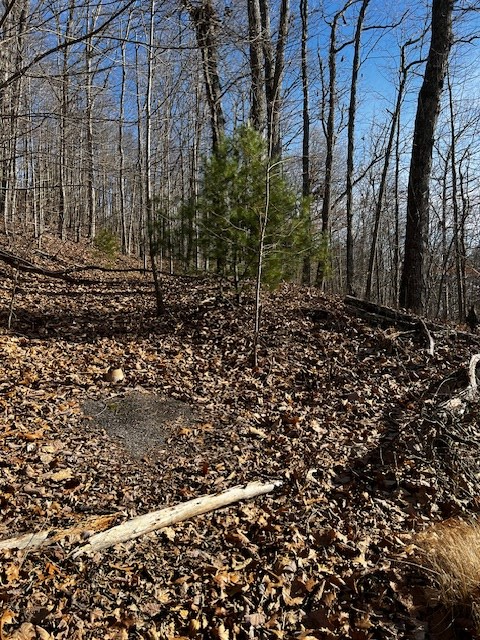 Lot 54 Sunny View Drive