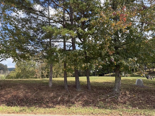 LOT 16 LANCE ROAD, MURPHY, NC 28906 - Image 4092f8d25c6beeb28a88d3d43d8a6422/2139580193