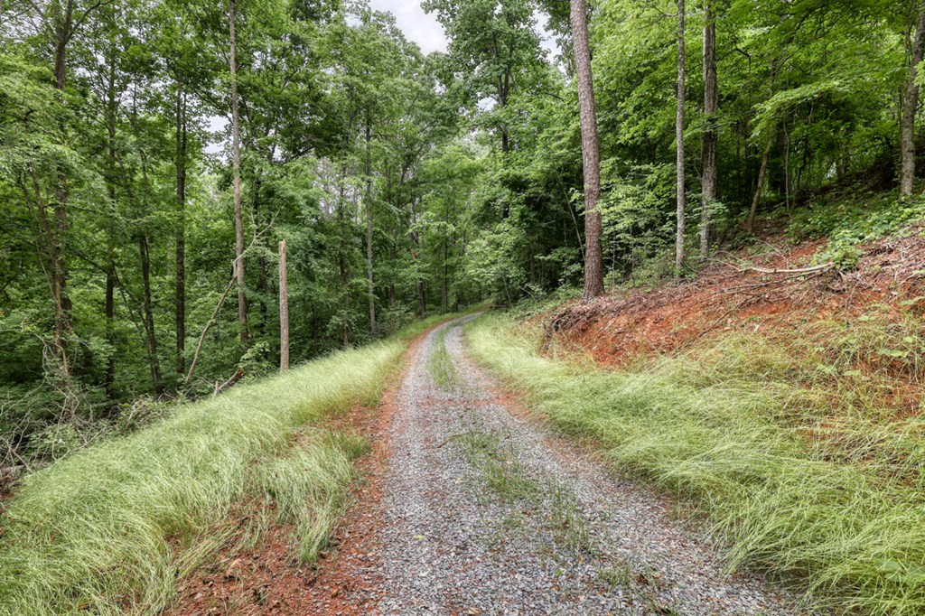0000 Shady Grove Road