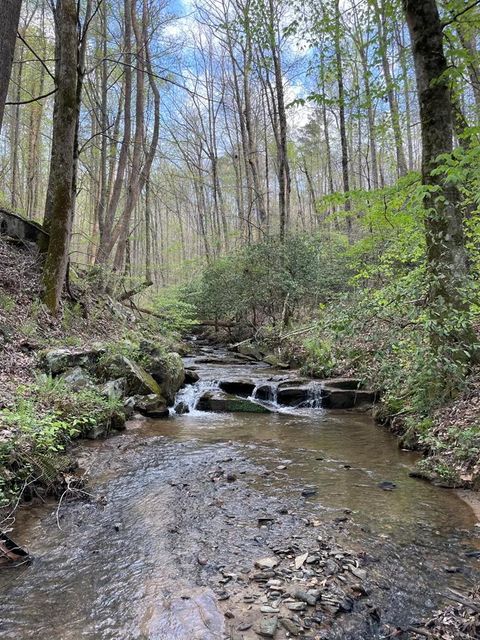 0000 Shady Grove Road Talking Rock GA 30175