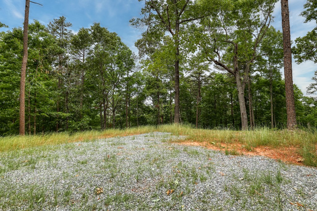 0000 Shady Grove Road