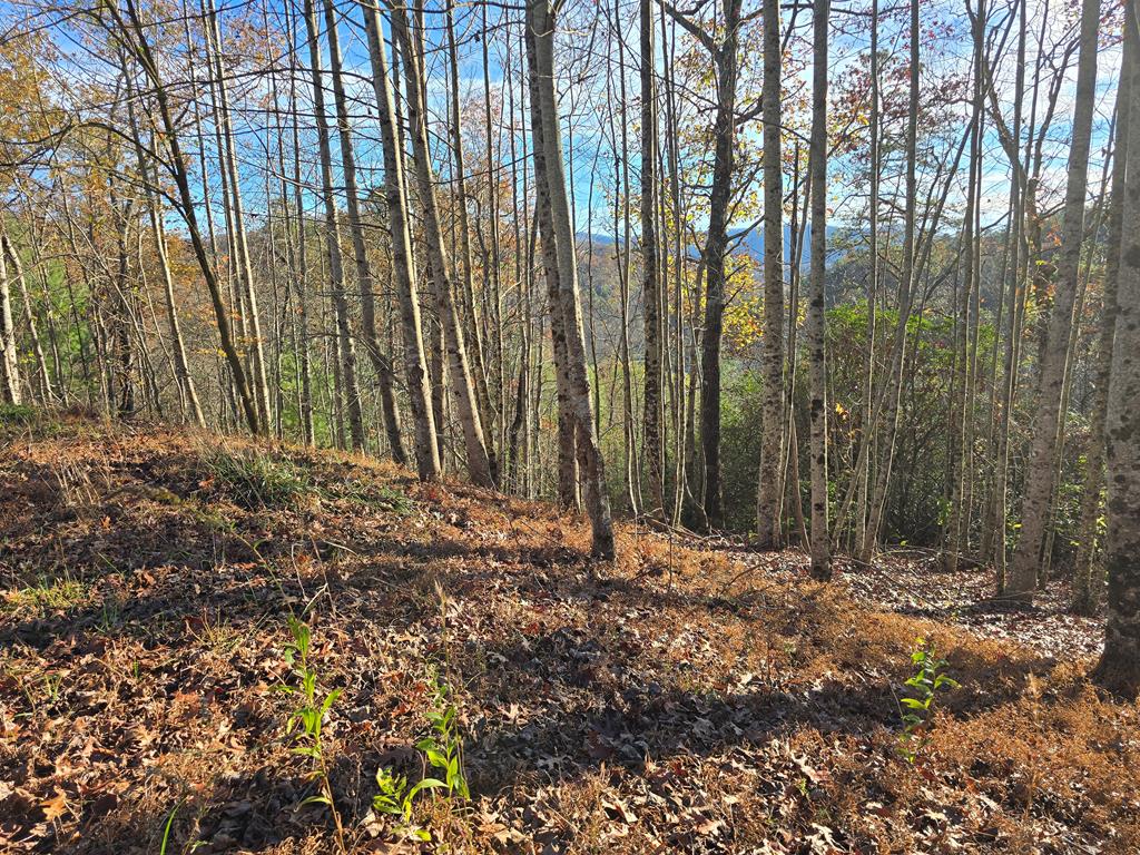 4730 Laurel Mountain Rd