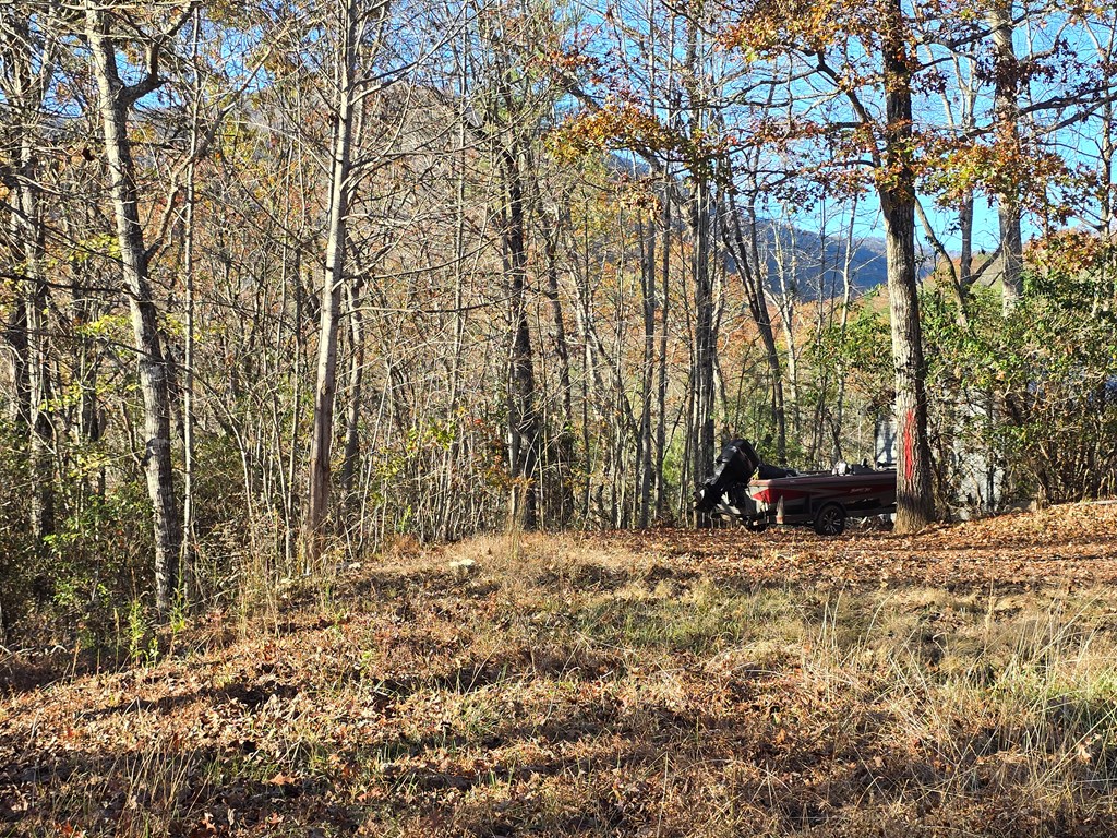 4730 Laurel Mountain Rd