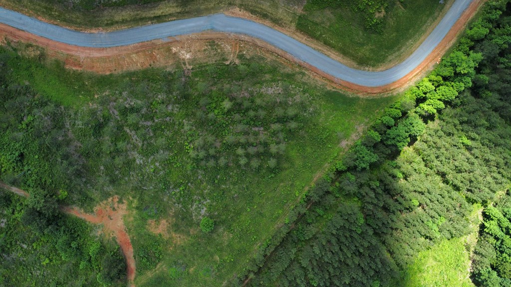 Talking Rock, Georgia 30175, United States, ,Land,Active,56794