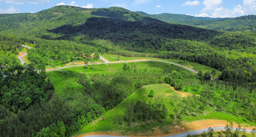 Talking Rock, Georgia 30175, United States, ,Land,Active,56794