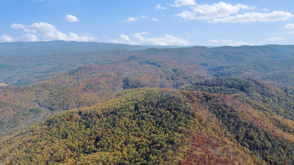 Talking Rock, Georgia 30175, United States, ,Land,Active,56794
