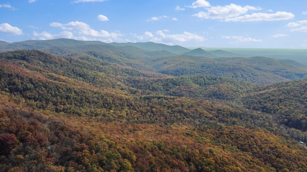 Talking Rock, Georgia 30175, United States, ,Land,Active,56794