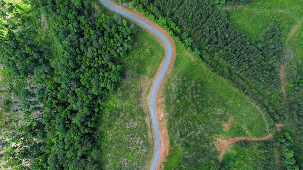 Talking Rock, Georgia 30175, United States, ,Land,Active,56794