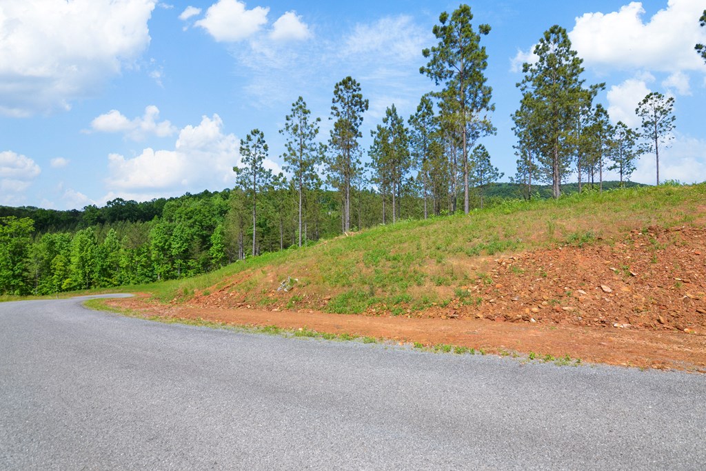 Talking Rock, Georgia 30175, United States, ,Land,Active,56794