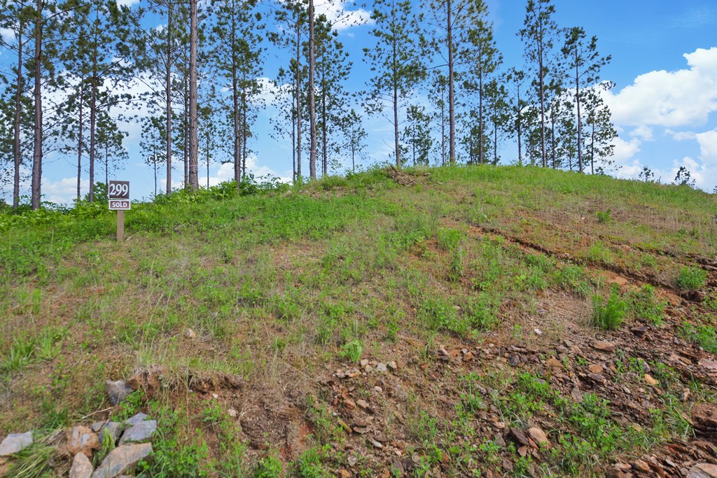 Talking Rock, Georgia 30175, United States, ,Land,Active,56794