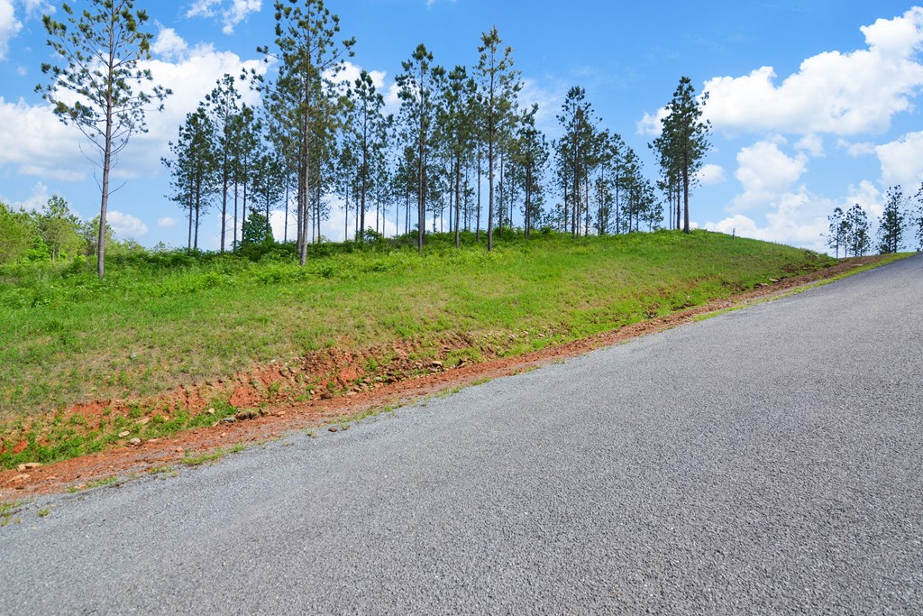 Talking Rock, Georgia 30175, United States, ,Land,Active,56794