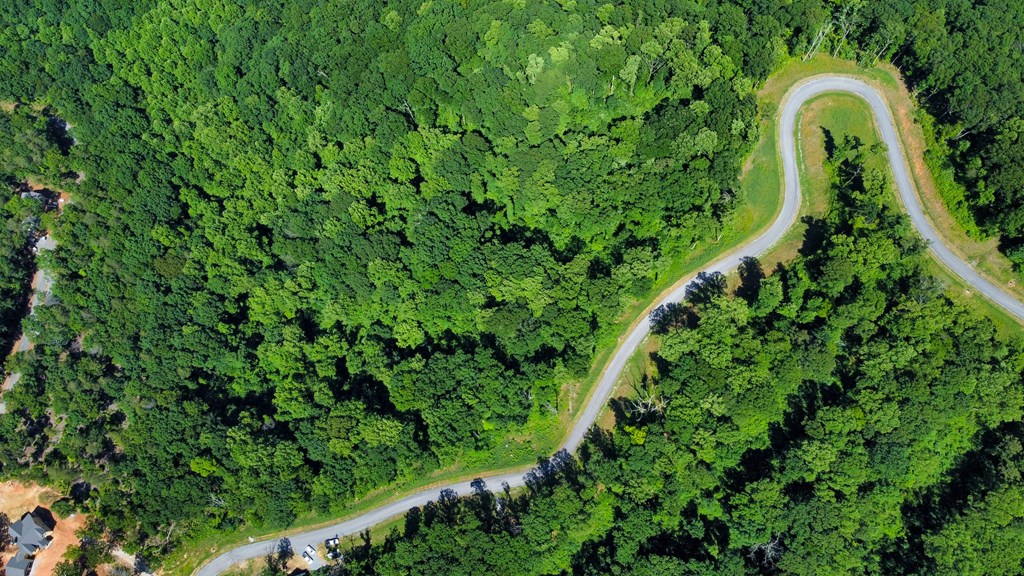 Talking Rock, Georgia 30175, United States, ,Land,Active,56794