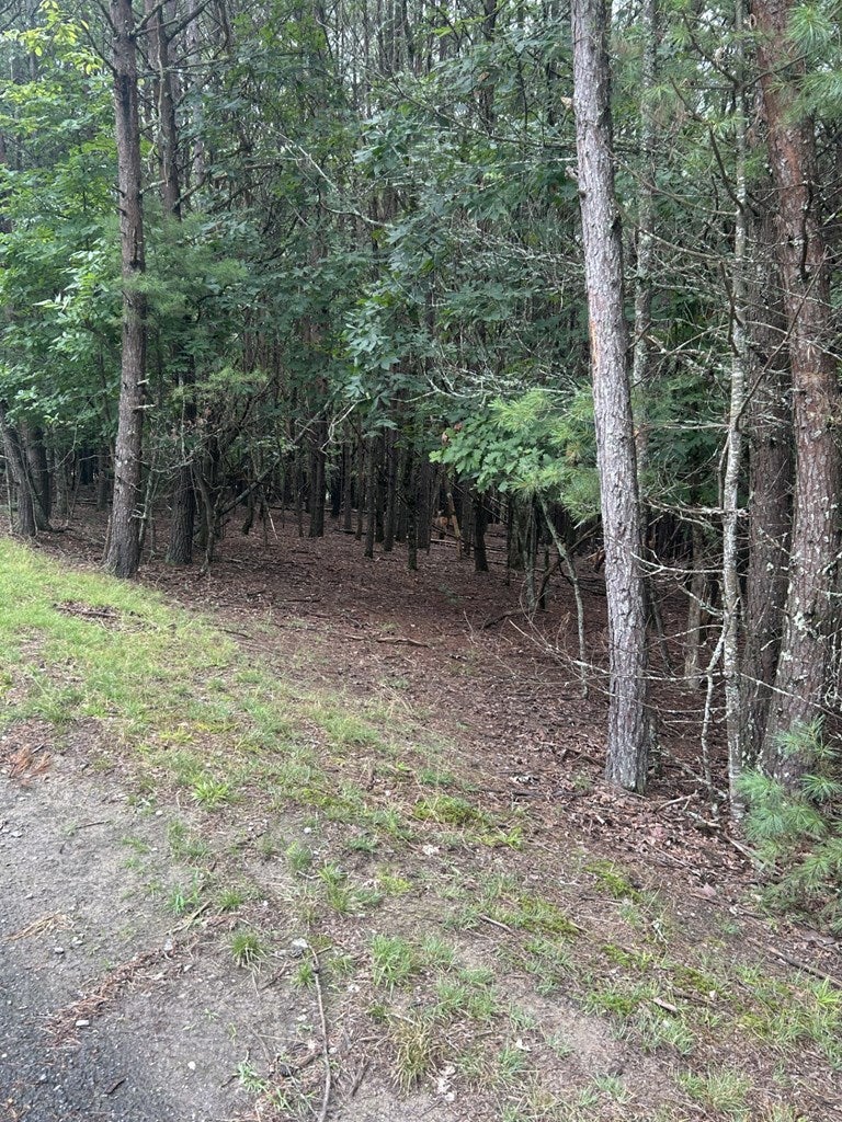 Lot #6 Summit Drive