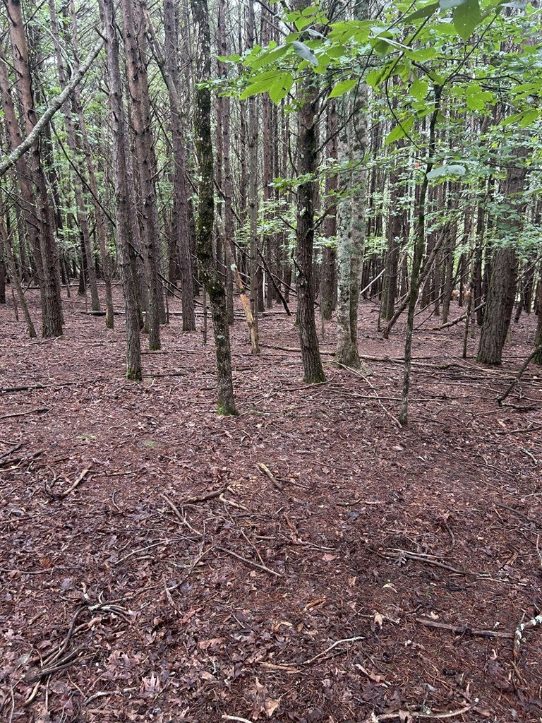 Lot #6 Summit Drive