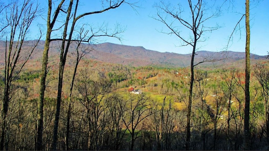 20 Fly Cast Overlook