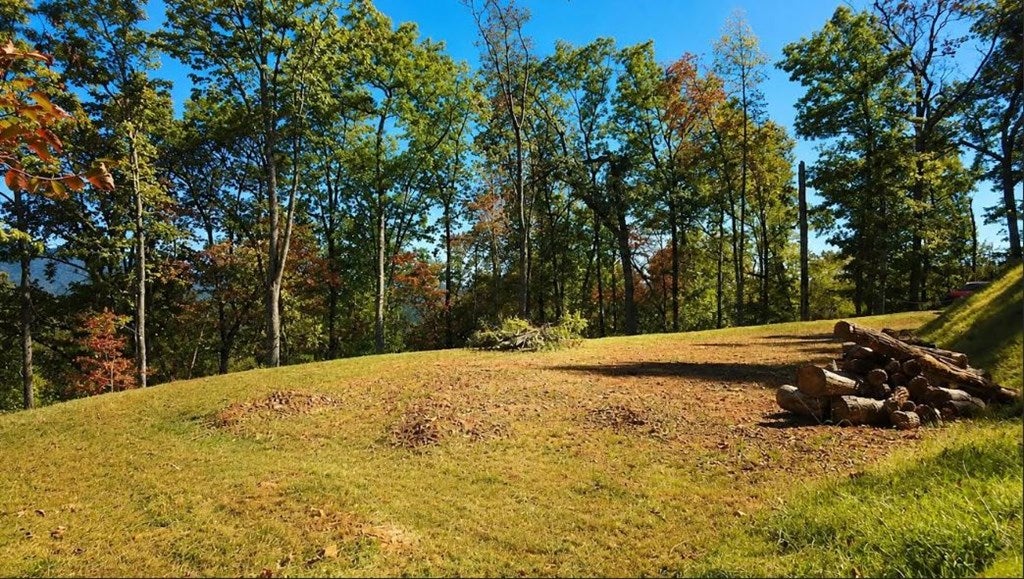 20 Fly Cast Overlook