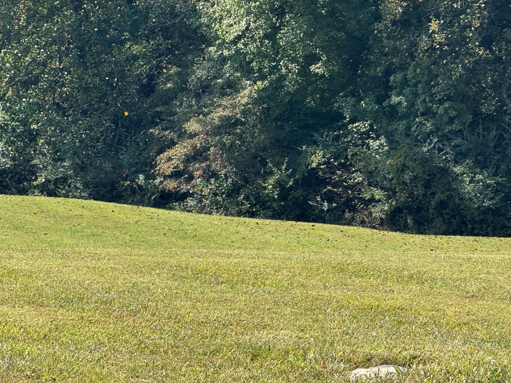 Lot 113 Owen Glen Drive