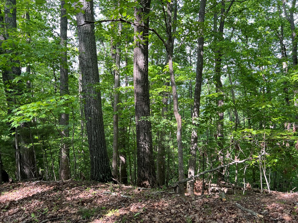 Lot 26 Longview Ridge