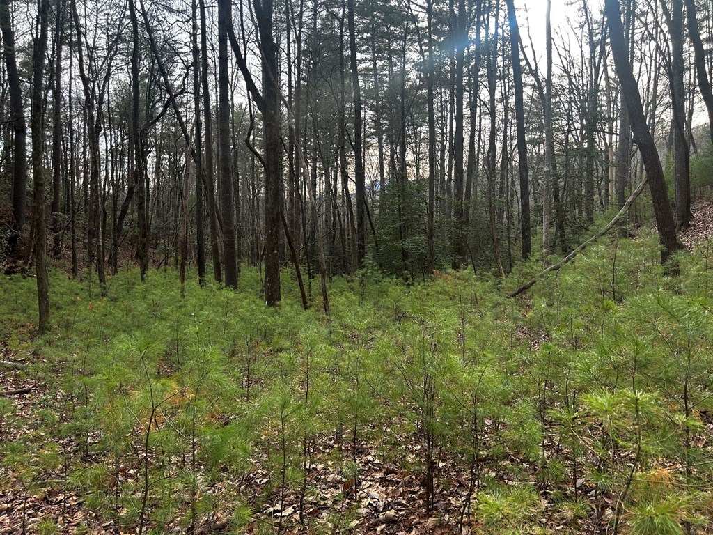 0 Corinth Church Road