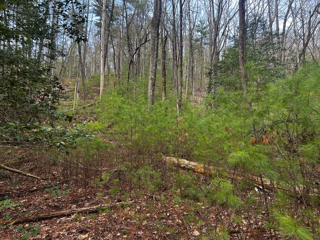 0 Corinth Church Road