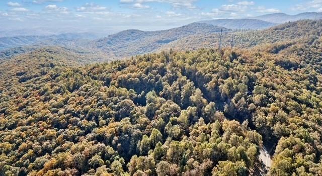 Lot 3 Upper Sassafras Parkway