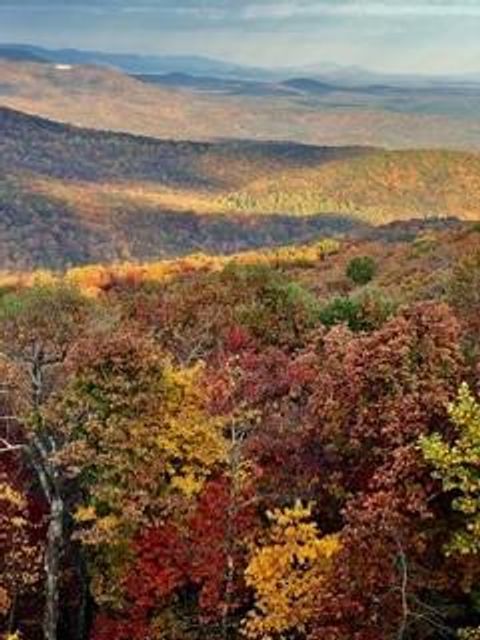 Lot 3 Upper Sassafras Parkway Jasper GA 30143