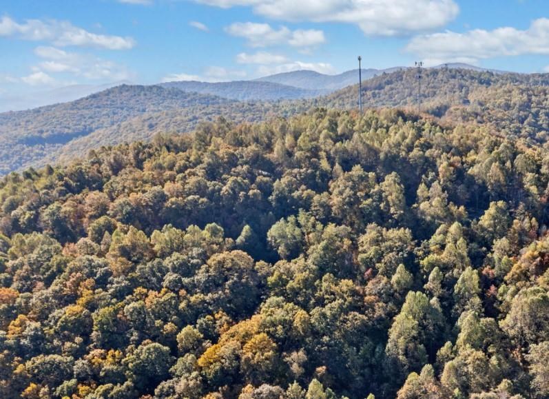 Lot 3 Upper Sassafras Parkway