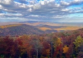 Lot 3 Upper Sassafras Parkway