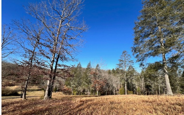 LT 51 Riverside On Lk Nott