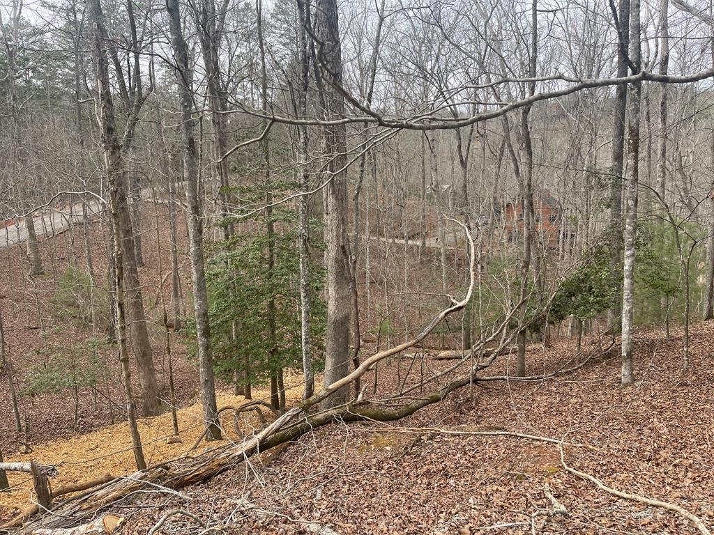 Lot 618 Charity Court