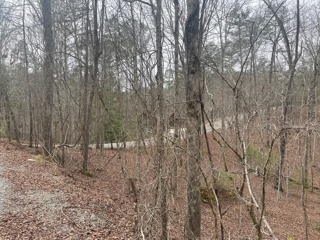 Lot 618 Charity Court