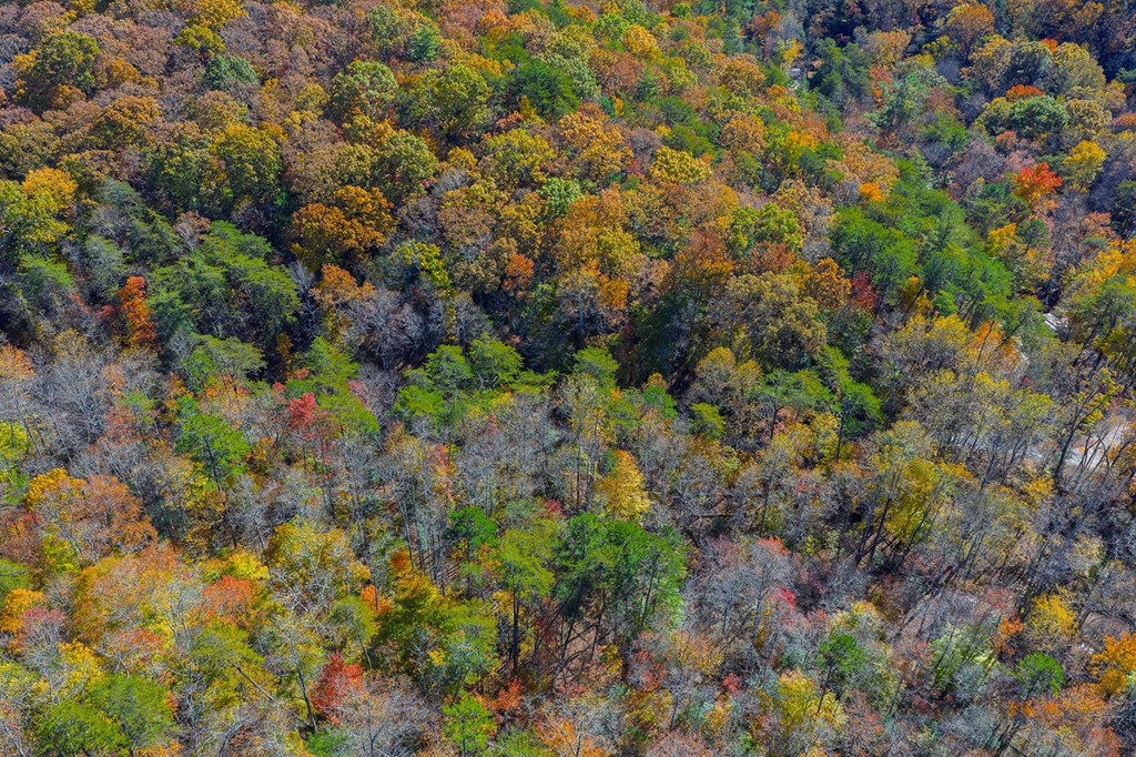 N/A Willard Mountain Road