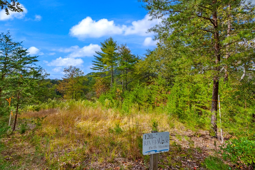 00 Mountain Watch Lane