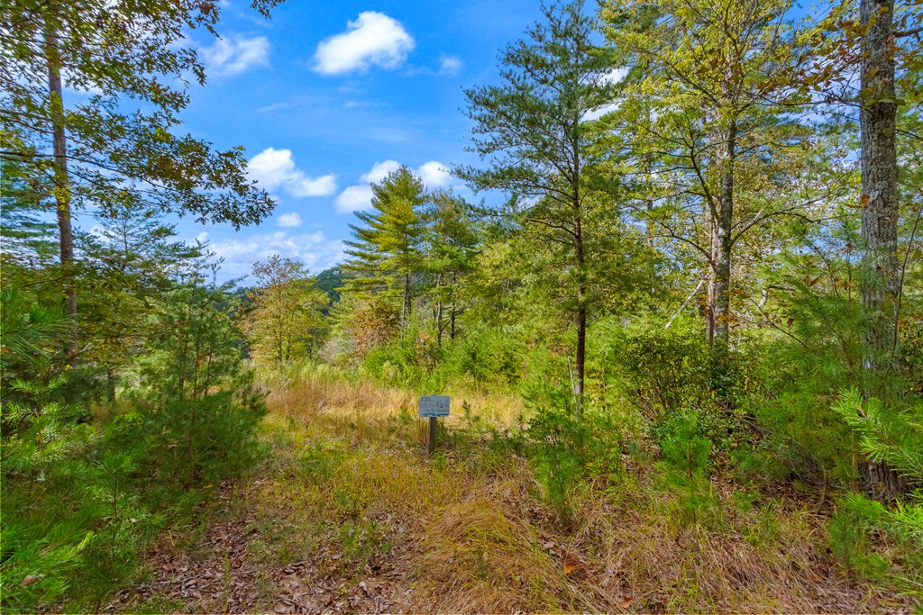 00 Mountain Watch Lane