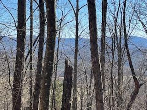 n/a Turkey Ridge Morganton GA 30560