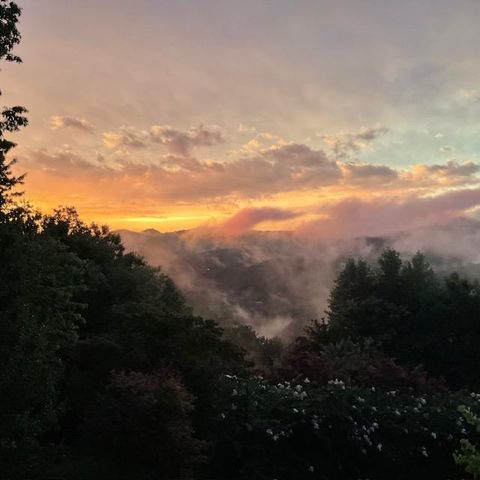 A home in Hayesville