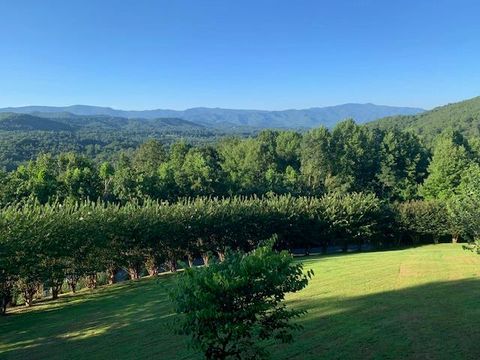 A home in Hayesville