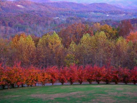 A home in Hayesville