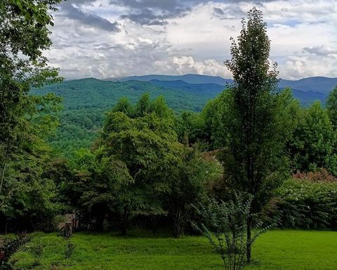 A home in Hayesville