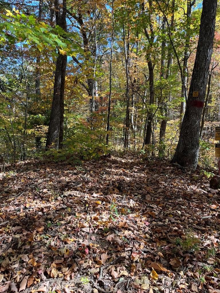 Lot 9 Black Bear Trail