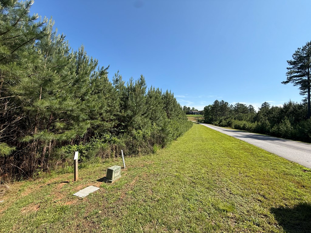 Lot 228 The Cove @ 1300