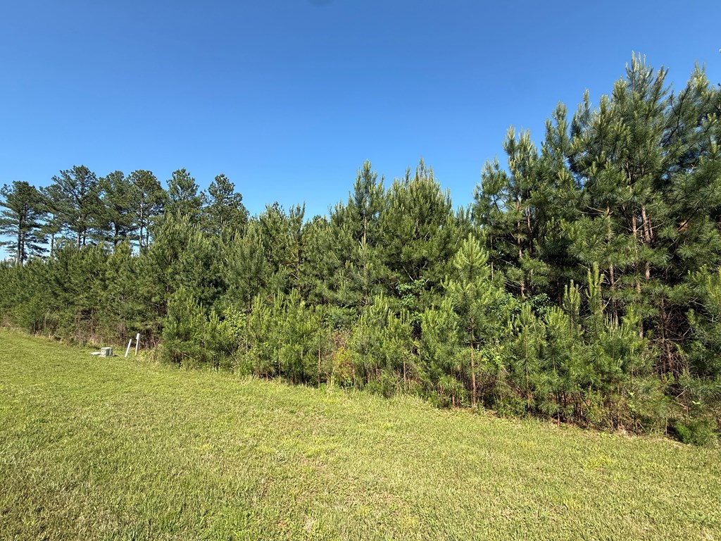 Lot 228 The Cove @ 1300