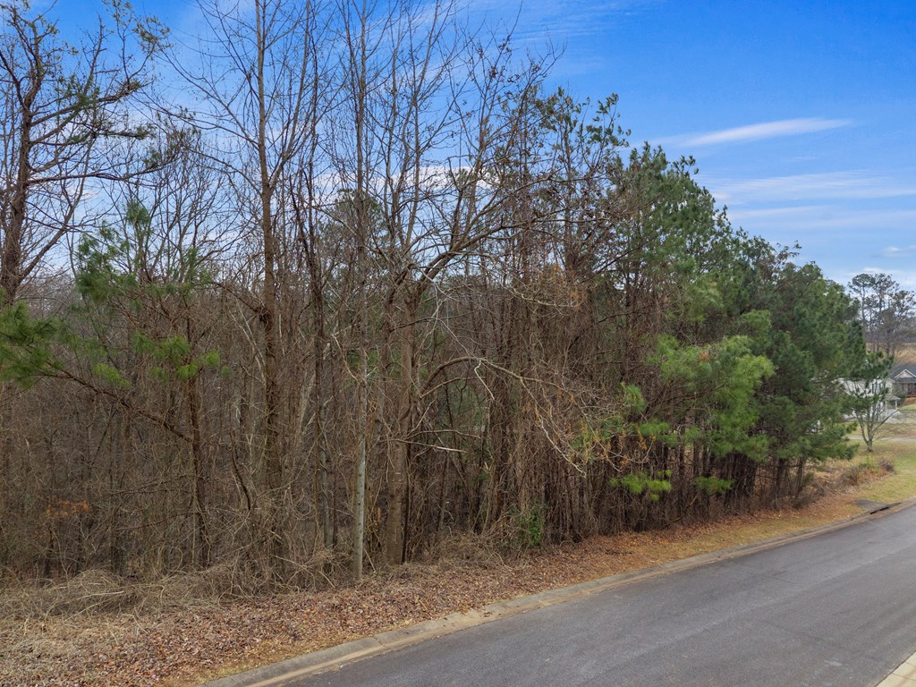 Lt 34/35 Juniper Drive