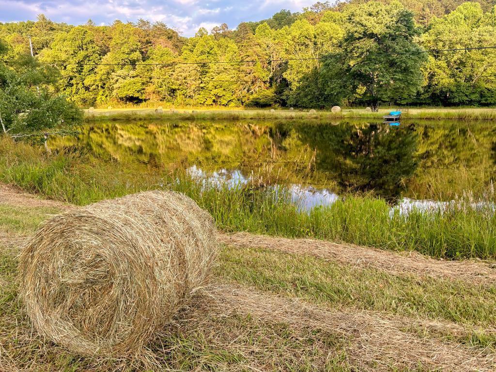 138 Wolf Creek Estates