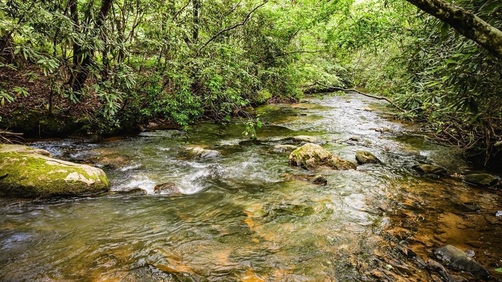 138 Wolf Creek Estates