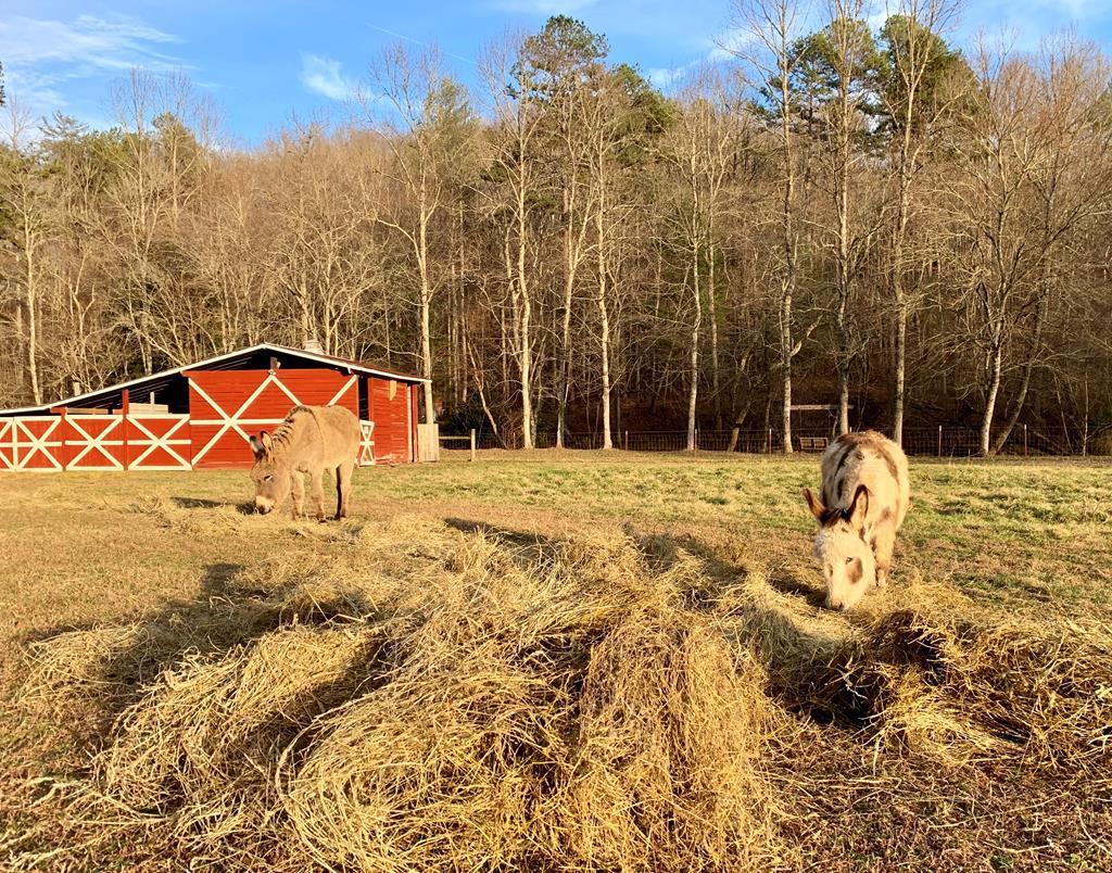 138 Wolf Creek Estates