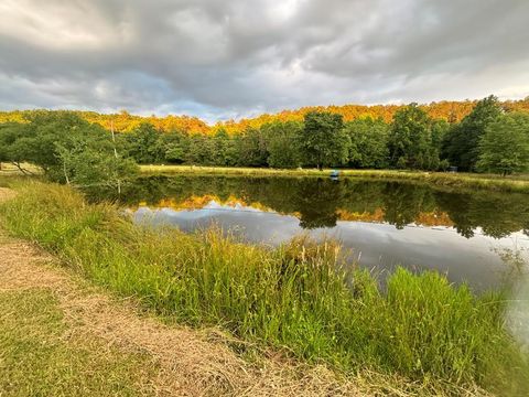 138 Wolf Creek Estates Mineral Bluff GA 30559